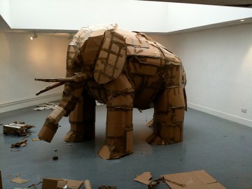 Elephant in the room