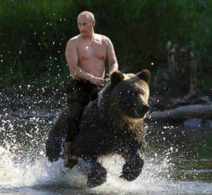 Putin bear