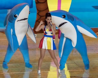 Katy Perry shark.jpg